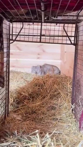 ������� ���� �� ���� �������� ���