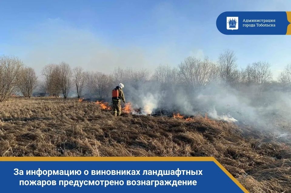 ��������, ��������! � ��������� ������� ��������� ������� ������� �������������� ���������, �������������� ����������� ���������� � ���������� ������������� ����������� (���������) ������� ��� ��������������� �� ����������