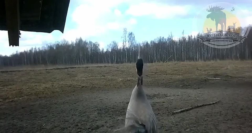 * ������ ����� ���� �����. * ��������� � 6 ���� � �����������