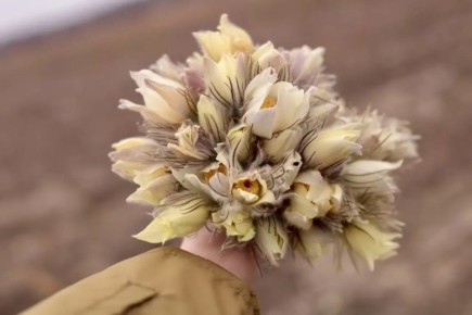 �������� ����� ������������ � ��������� �����