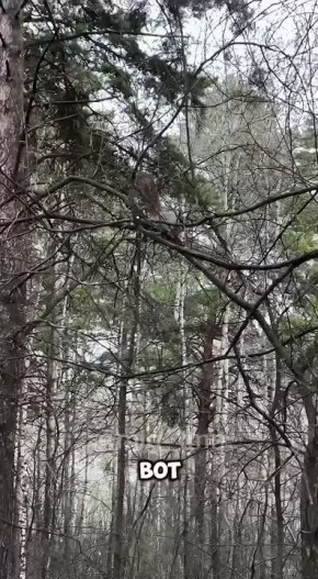 ������� ������ �� ��������� ������� �� �������� �����