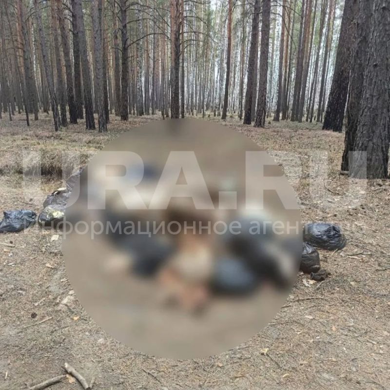 ���� ������ �������� � ����������� ������: ��� �������, � ������ ��������� ������ � ��������, ����� ������ � ��������� �����