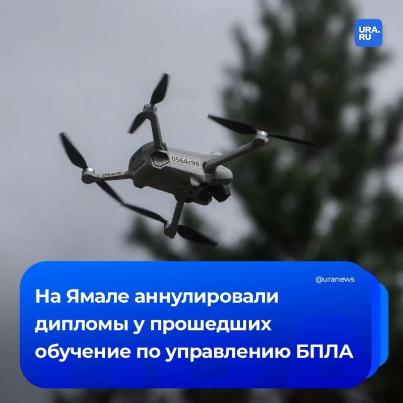 ������������ ����������� ������������ ������� ����������� ������ ����