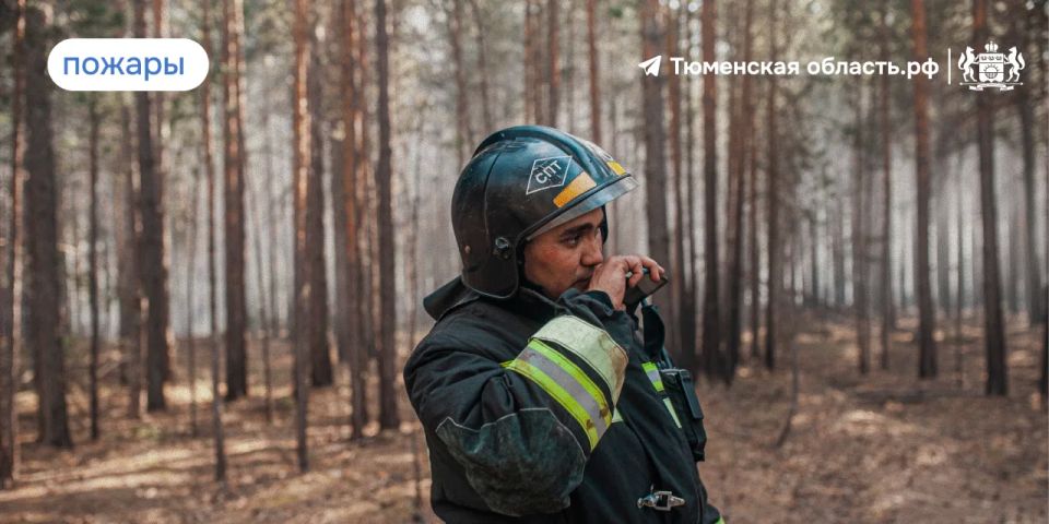 �� �������� �������� 4 ������ ������ � ��������� �������