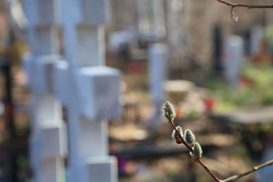 ������� ��������