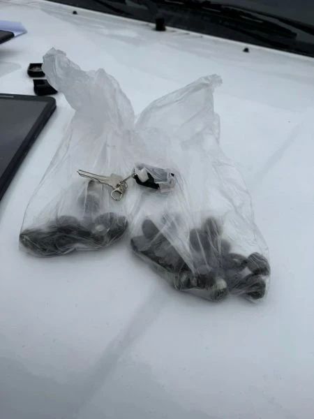 ��������� ����������� ��������� �������, ������� ������ ��������� ����������� ������