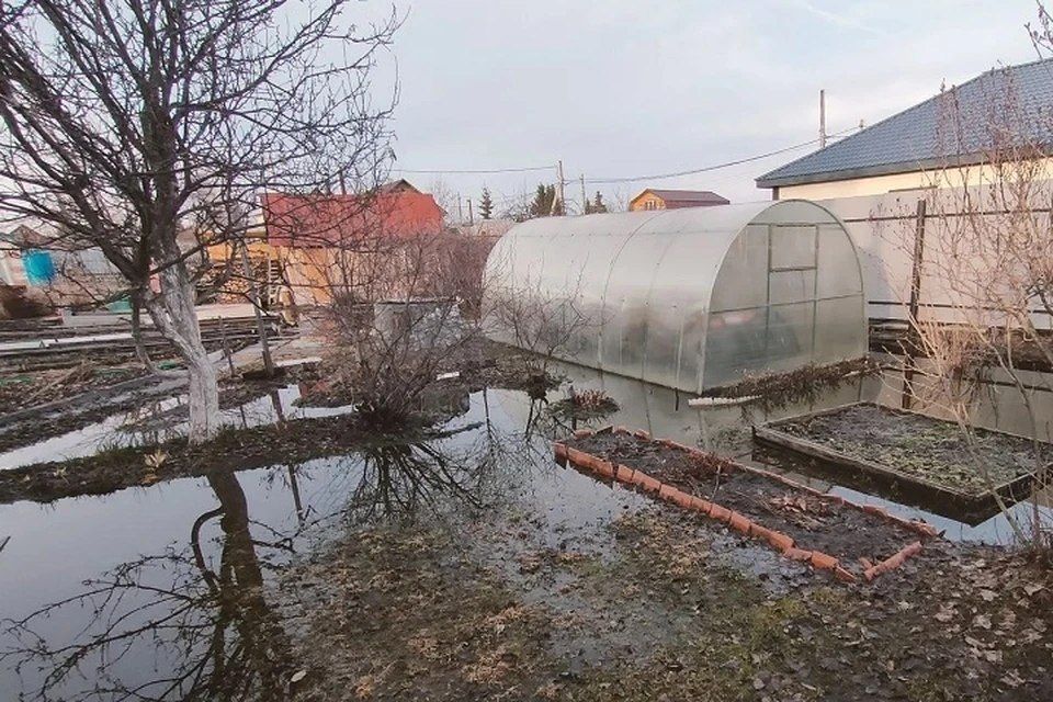 � ���� �����: �������� ������� ���, ������� ����� �������� � 2026 ����