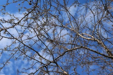 ������� ���������� � ������� � ��������� ������� �����