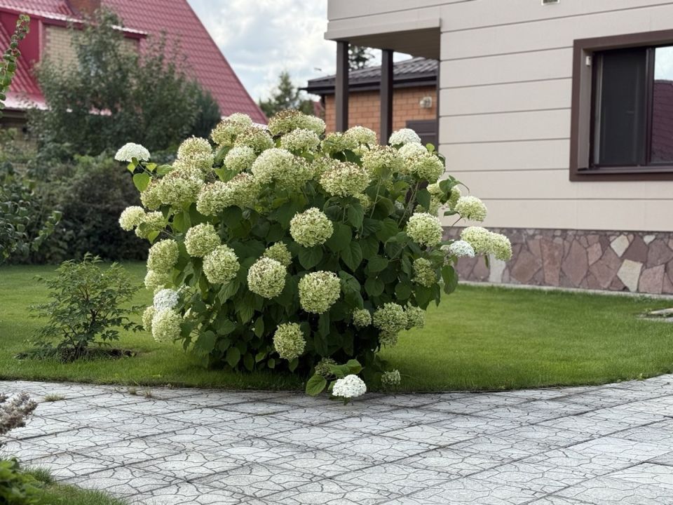 ��� ��������� ���������� ���������: ������� ���������� �� ��������