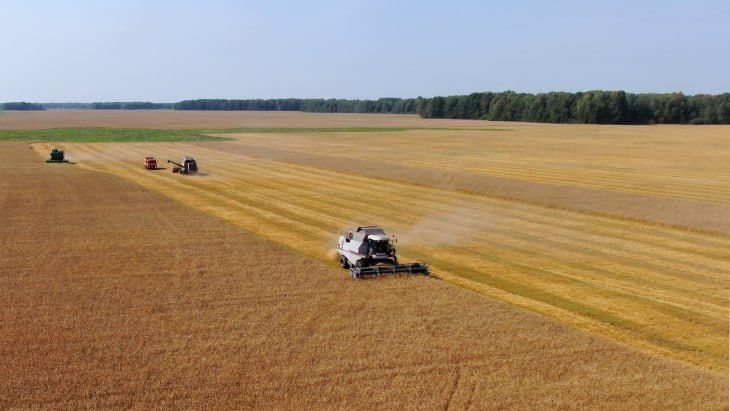 ����� �� ����� ����������� ��������� � ������ � 1 ���� �� 30 ������ ���������� ������������� ��