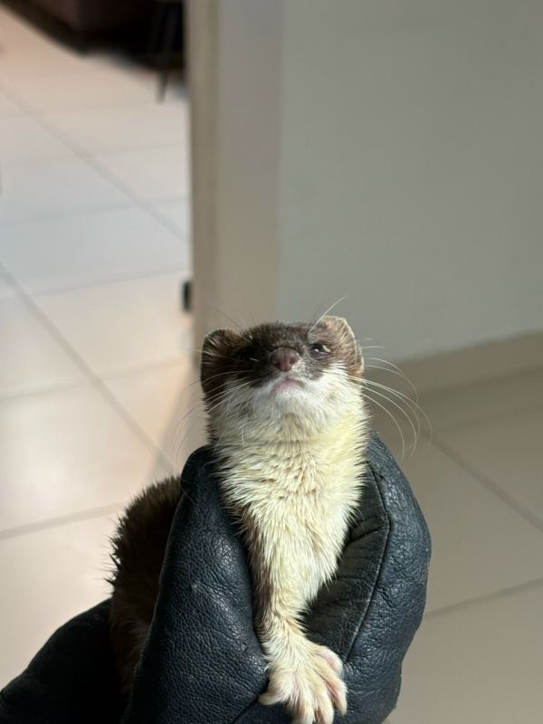 � ������� ������ ������ ����� � ���������� ������