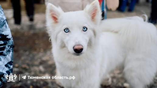 ������� ����� �������� � ��������� �������� ����� ���������