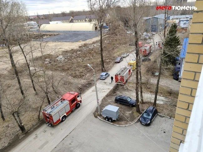 � ������ 23 ������ 2026 ���� � ������ ����������������� ����, �������������� �� ������: ����� ����������, 181/2, ���������� �����