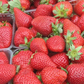 ��� ������� �������� ������� �������� �������� �� ����� �������