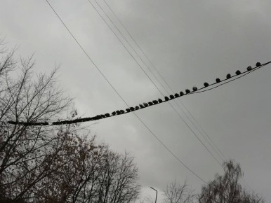 � 2026 ���� � ��������� ������� ������� ����� 800 ���������� ������������