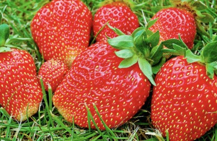 ������� ������� ��������: ��� �������� �������� ������ � ����� ����� ����