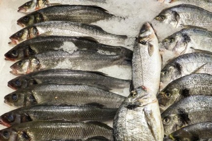 ���� ������ ���������� ����: ����������� ���������� � ���� ��������