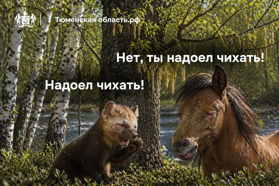 � ��� ��� � ��� �� ����? ������!