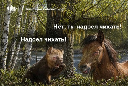 � ��� ��� � ��� �� ����? ������!