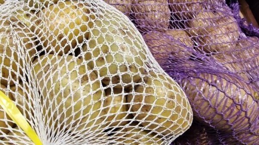 �������� ������� ������� ������ ��������� � 2025 ����