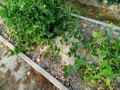 ����������� ���������� ��������� ������ � ������� ���������