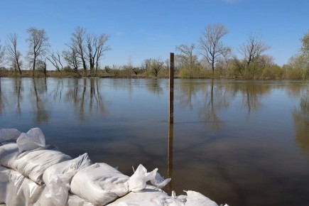 � ��������� ������� ����������� ������ �� ��������������� �����������