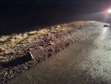 ��� ������� �������� ����� ����� �������