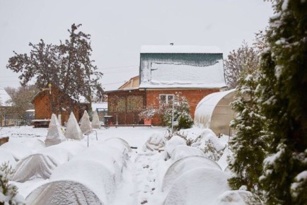 �������� ������ ������� � ����: ������������ ����������� ��� �������� �����