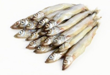 �����: ������������ �������� ��� ����������� �����