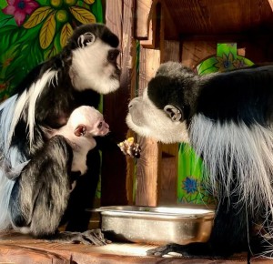 ��������� ���? �������� ������� �� ������� ������ ���� � ��������� ������ ������������ ��������