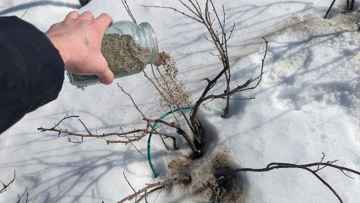 ������ ������� ������������ ������ ���������� must-have ��� ����� ������ ���������