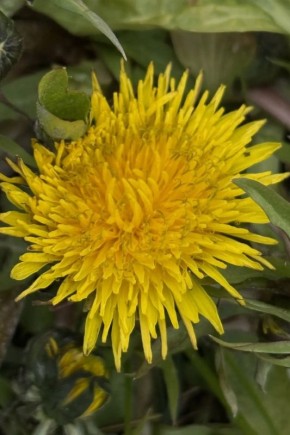 ��������� ���������� ��������!