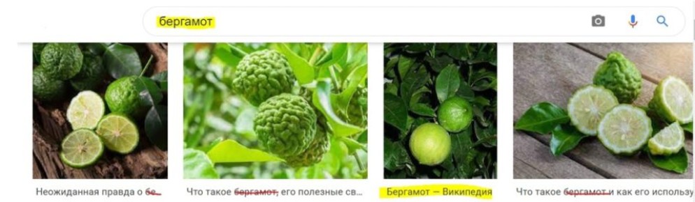 ��������: ������ ���� ����� ���� ������� ������������ ��������