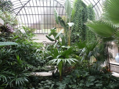 ������ ����� �������� ���� ���������� �������� �� ����?