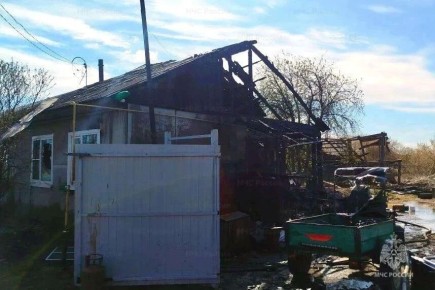 ����� � ���������� ������ ���� ����� ��������