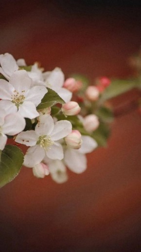 ������ ������� � ������. ����� � ������ ����: ������ ��������