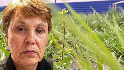 ��� ����� ����� ������ ���������� � ��������������� 72-������ �������