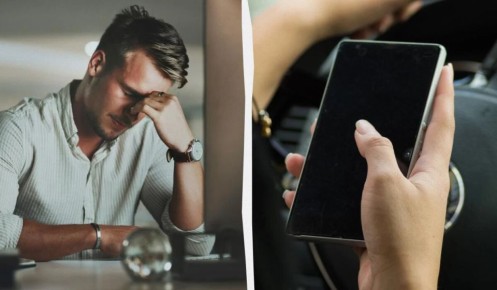 ������� ������������: ����� �������� ��������� � �������� ��� ��������