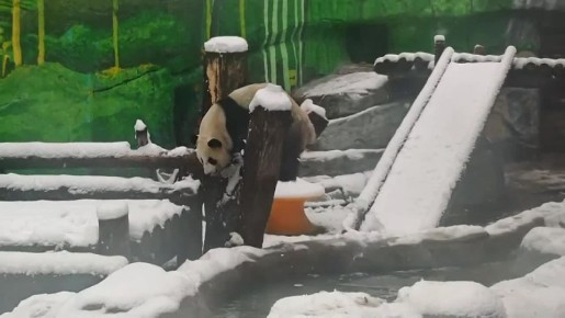 �� ��� ����� ��� ���, � ������ � ����������� ���������� �������� ���������