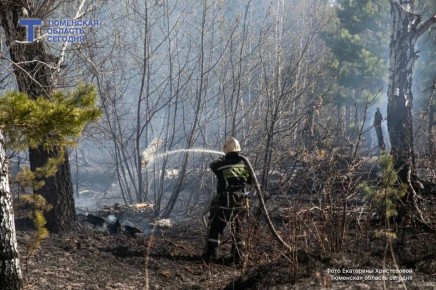 125 ����������� ������� ������������� � ������� � ������ ������