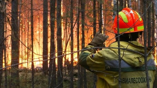 � ���� ���������� ��������� ��������� ������������� �����