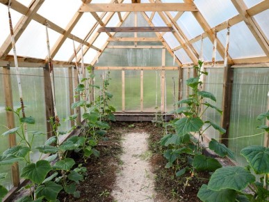 ����������� ����� ��� ������� � �������