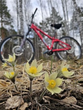 ����� � ������ ������� � ��������� ����� � ������