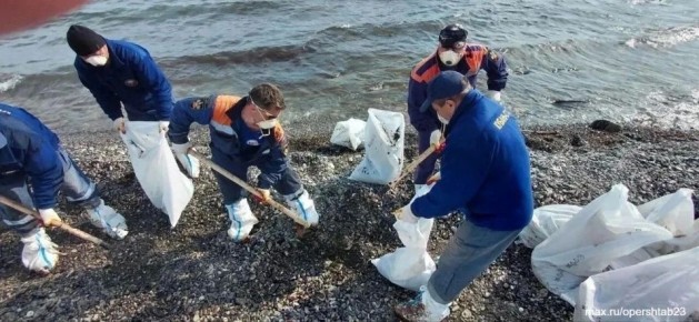 ��������� ������� �������������� ��������� �� ���� �������� ��������� ����� � ����������� ������������� ������ � ���������� ���������� ������� �� ������� ��������� � ���, �������� �������� ������