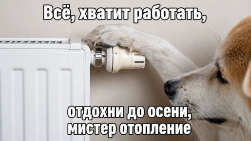 � ��������� ��������� ������������ �����