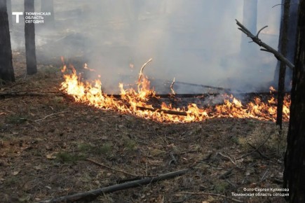 � ��������� ������� ������ ������ ����������� � ������ �����