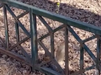 ����� �� ������ ����� ���� ����� ���� ��������