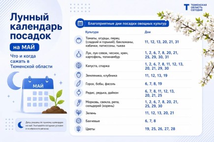 ��� � ����� ����� � ���? ������ ��������� ��� ��������� �����������