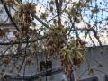 � ��������� ������� �������������� �������� ����� �������� 18-23 �/�