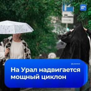���� ������� �������: ����� �� 23 �/� � ������ ����